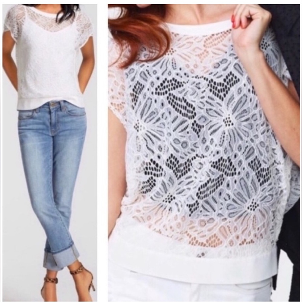 Cabi - White Lace Sheer top